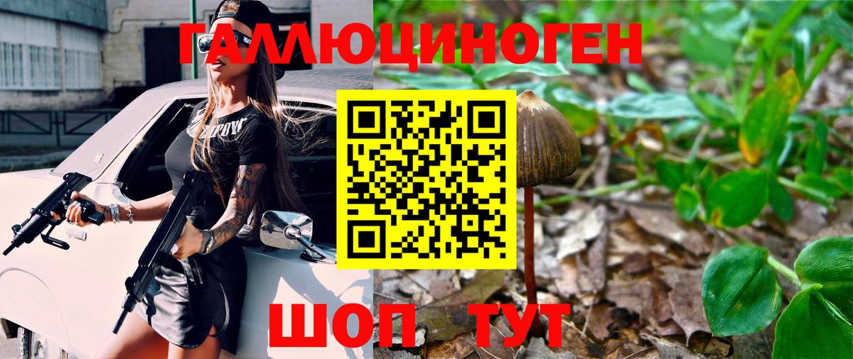 Галлюциногенные грибы GOLDEN TEACHER  Вход с VPN  Фурманов 