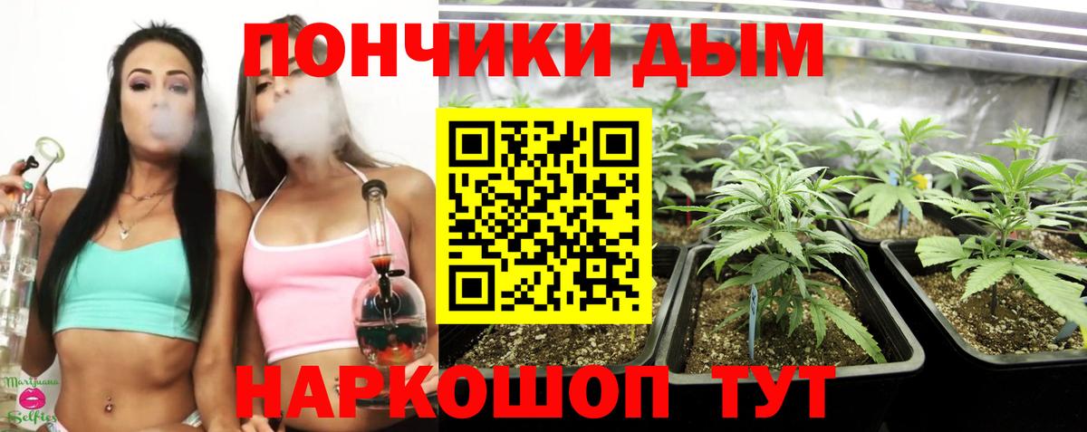 Фурманов  Марихуана тримм  Вход с VPN  МАРИХУАНА Amnesia  Бошки Шишки Bruce Banner 